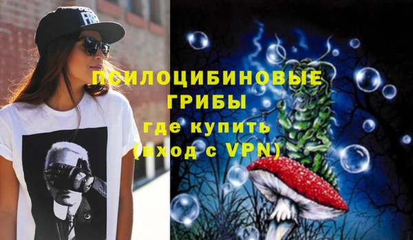 молекула духа Лихославль