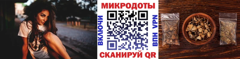 Галлюциногенные грибы MAGIC MUSHROOMS  закладки  Тетюши 